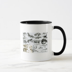 Caneca Animais carnívoros