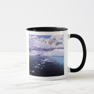 Caneca Antártica. Expedição através de fugas