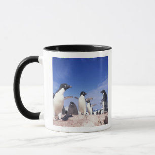 Caneca Antártica, Pinguim Adelie Pygoscelis