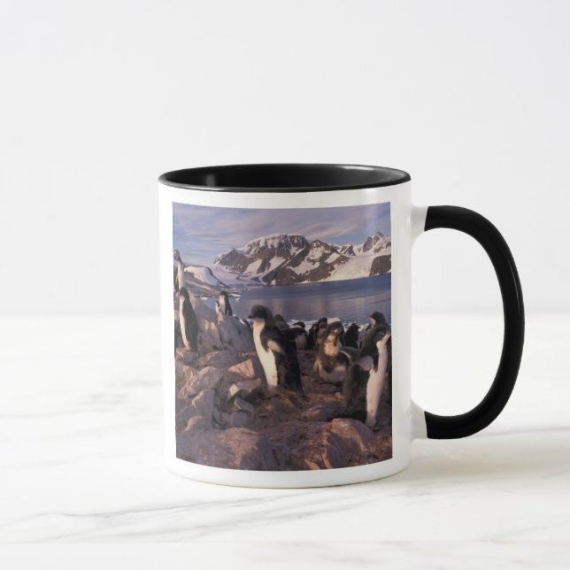 Caneca Antártica, pintinhos de pinguins adereços (Direita)