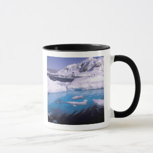 Caneca Antártida. Expedição através de paisagens de gelo