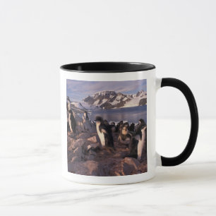 Caneca Antártida, filhotes de pinguim Adelie