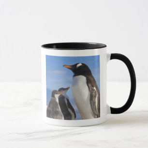 Caneca Antártida, Neko Cove (Porto). Pinguim Gentoo 2