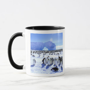 Caneca Antártida, Península Antártica, Mar de Weddell, 5