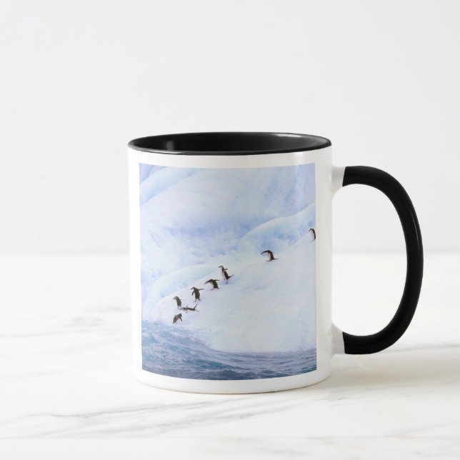 Caneca Antártida, Península Antártica. Pinguim-de-barbich (Direita)