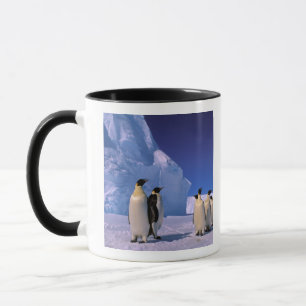 Caneca Antártida, Território Antártico Australiano, 7