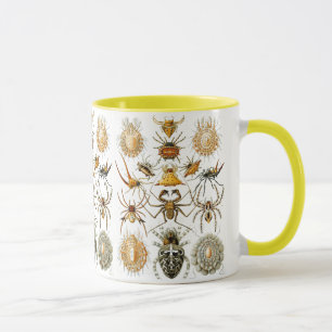 Caneca Arachnida (Aranhas) Ernst Haeckel Belas Artes