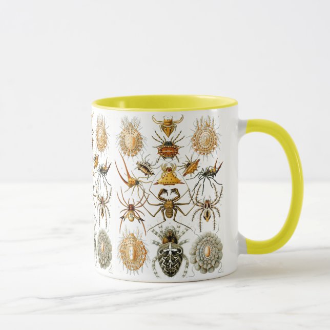 Caneca Arachnida (Aranhas) Ernst Haeckel Belas Artes (Direita)