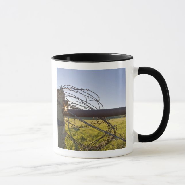 Caneca Arame farpado enrolado na cerca perto (Direita)