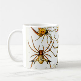 Caneca Aranhas Vintage ou Aracnídeos por Ernst Haeckel