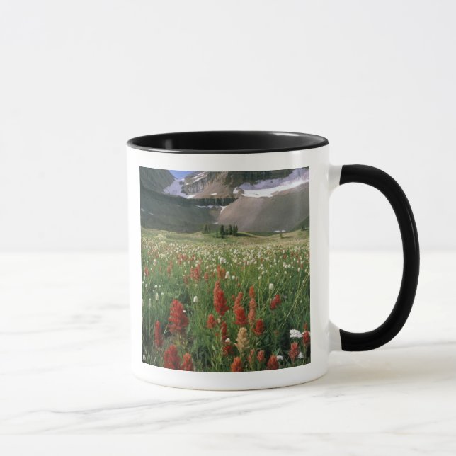 CANECA ÁREA SELVAGEM DO MONTE TIMPANOGOS, UT, EUA, (Direita)