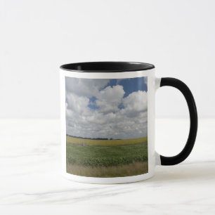 Caneca Argentina, Buenos Aires, San Antonio de Areco.