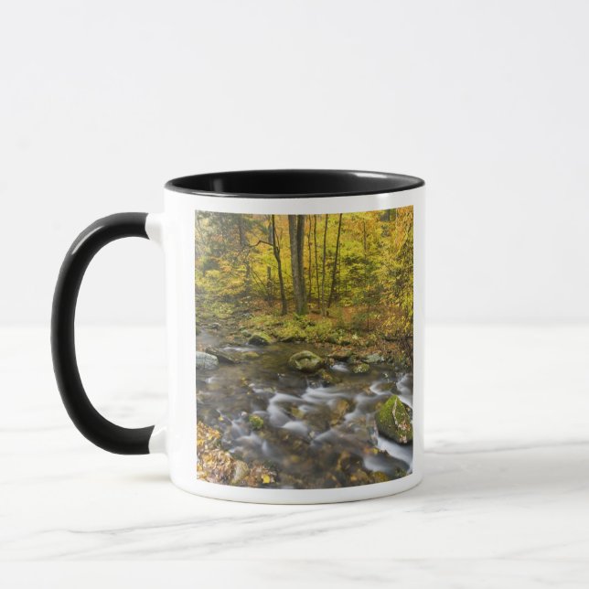 Caneca Arroyo Sanderson. Bosque Estatal Chester-Blanford. (Esquerda)