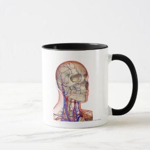 Caneca Artérias e veias na cabeça e no pescoço