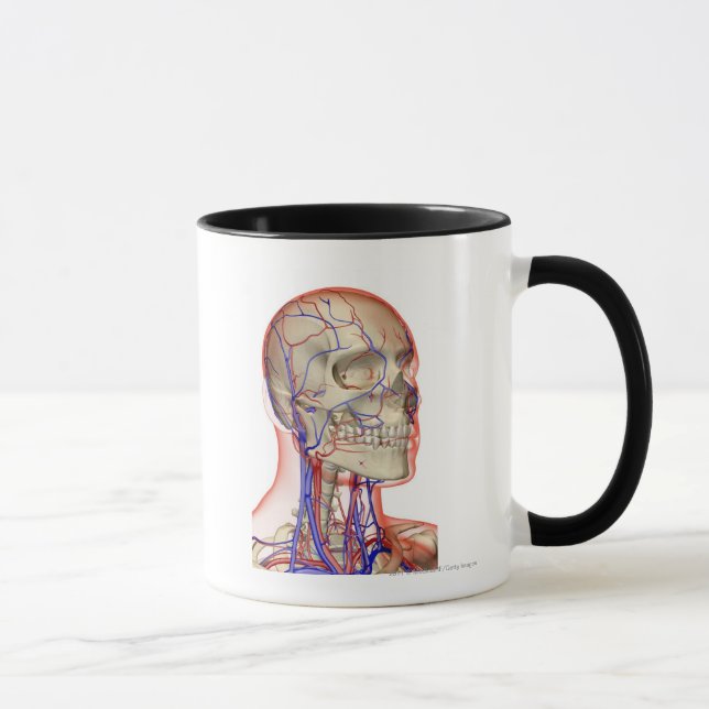 Caneca Artérias e veias na cabeça e no pescoço (Direita)