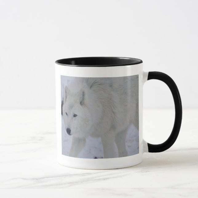Caneca ártica do lobo (Direita)