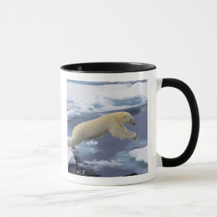 Caneca Ártico, Svalbard, Urso Polar estendendo