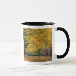 Caneca Árvore de bordo de outono sobreposta à estrada rur