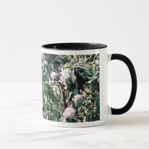 Caneca Árvore de Manga