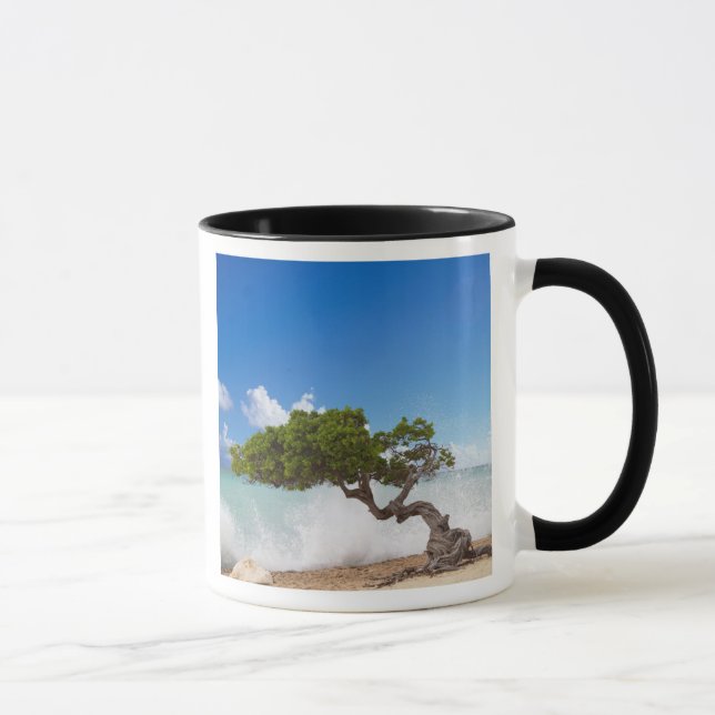 Caneca Árvore Divi Divi, Praia Eagle, Aruba, Caribe (Direita)