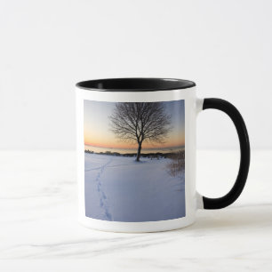 Caneca Árvore solitária na neve fresca em New Castle Comm