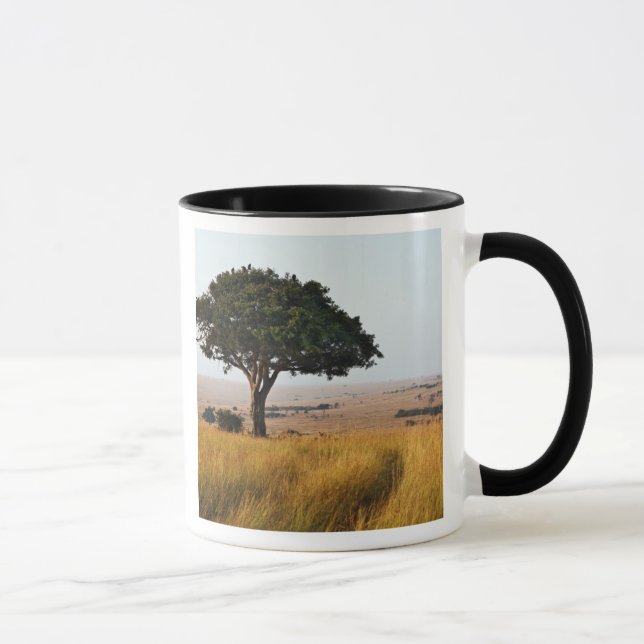 Caneca Árvore única de acácia nas planícies gramadas, Mas (Direita)