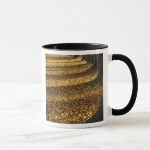 Caneca Árvores choupo no Outono, Lago Wanaka, Otago,