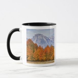 Caneca Árvores de Aspen com a cordilheira Teton