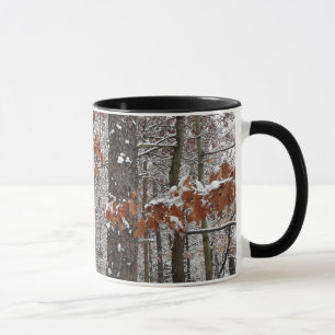 Caneca Árvores de carvalho cobertas por neve Fotografia 