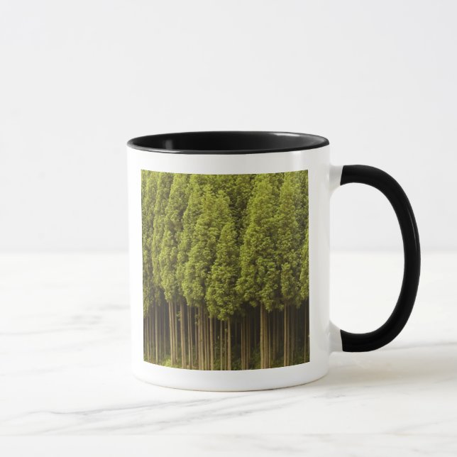 Caneca Árvores de cedro de Koya Sugi (Direita)