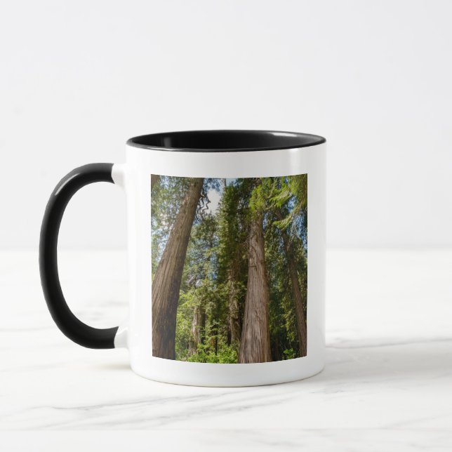 Caneca Árvores de Cedro Vermelho Ocidental (Esquerda)