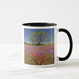 Caneca Árvores de mesquite da primavera crescendo em flor