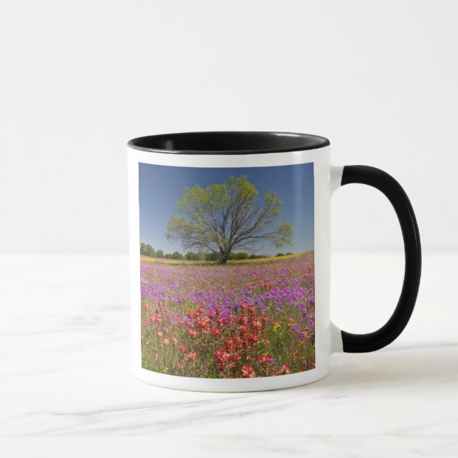 Caneca Árvores de mesquite da primavera crescendo em flor (Direita)