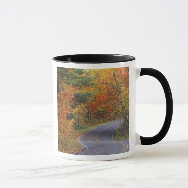 Caneca Árvores de outono alinham a estrada no Parque Esta (Direita)
