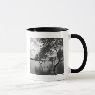 Caneca Árvores no lago