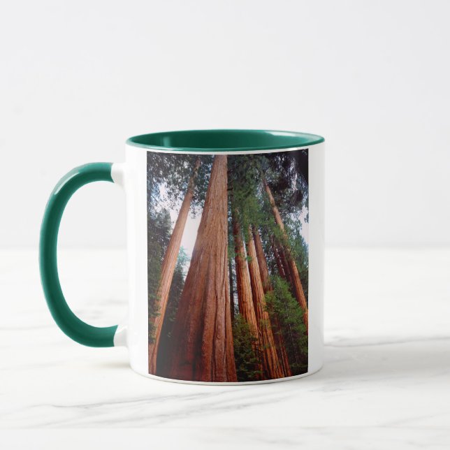 Caneca Árvores sequóias gigantes de crescimento antigo (Esquerda)
