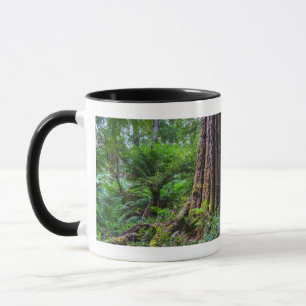 Caneca Árvores verdes na Floresta Excelente de Otway Aust