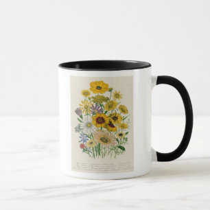 Caneca As margaridas, chapeiam 31 "das senhoras