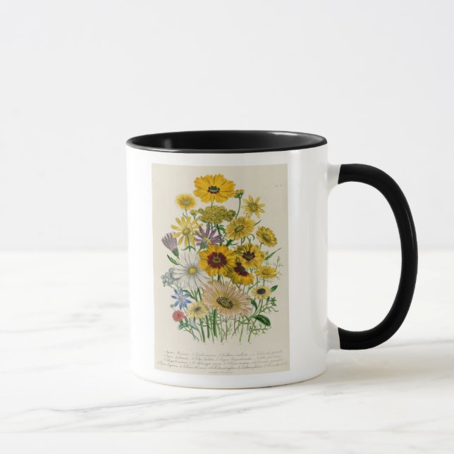 Caneca As margaridas, chapeiam 31 "das senhoras (Direita)