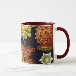 Caneca Ascidiae por Ernst Haeckel, Animais Marinhos Vinta