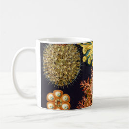 Caneca Ascidiae por Ernst Haeckel, Animais Marinhos Vinta