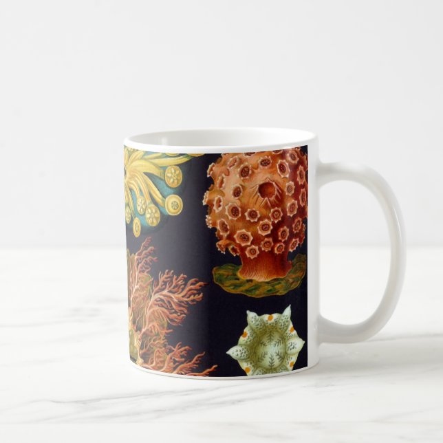 Caneca Ascidiae por Ernst Haeckel, Animais Marinhos Vinta (Direita)