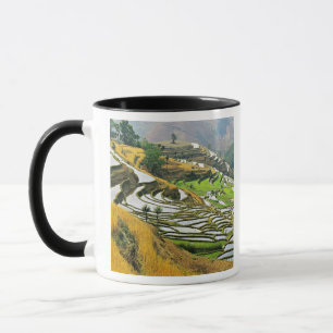Caneca Ásia, China, Yunnan, Prefeitura de Yuxi; Yuanjiang