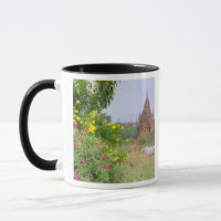 Ásia, Mianmar (Birmânia), Bagan (Pagan). Vacas