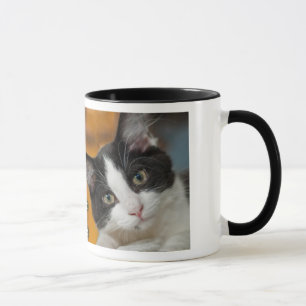 Caneca Asio e gatinhos de Otis
