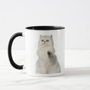 Caneca Assento do gato persa