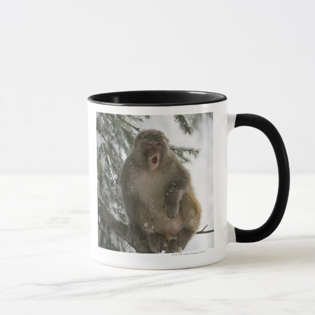 Caneca Assento do macaco de Macaque do Rhesus (mulatta do (Direita)