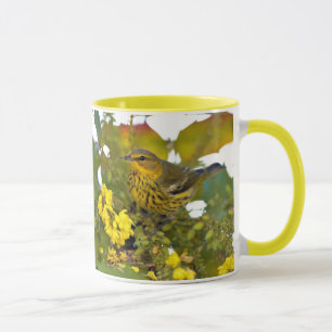 Caneca Atordoamento do Cabo May Warbler Songbird na Mahon