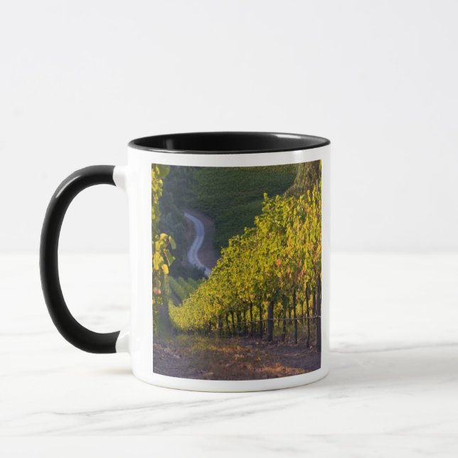 Caneca Austrália Meridional, Adelaide Hills, Summertown.  (Esquerda)
