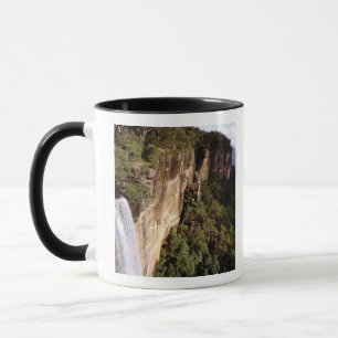 Caneca Austrália, Nova Gales do Sul, Fitzroy Falls.